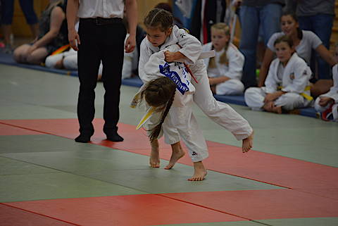 Merziger Judokas räumen im St. Wendeler Land alles ab